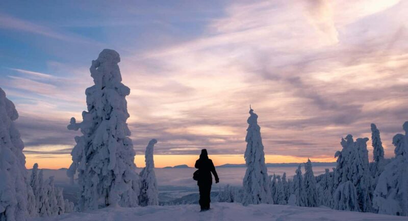 Ylläs: Guided Snowshoeing Adventure to Kesänki Fell - Who Should Consider This Tour?