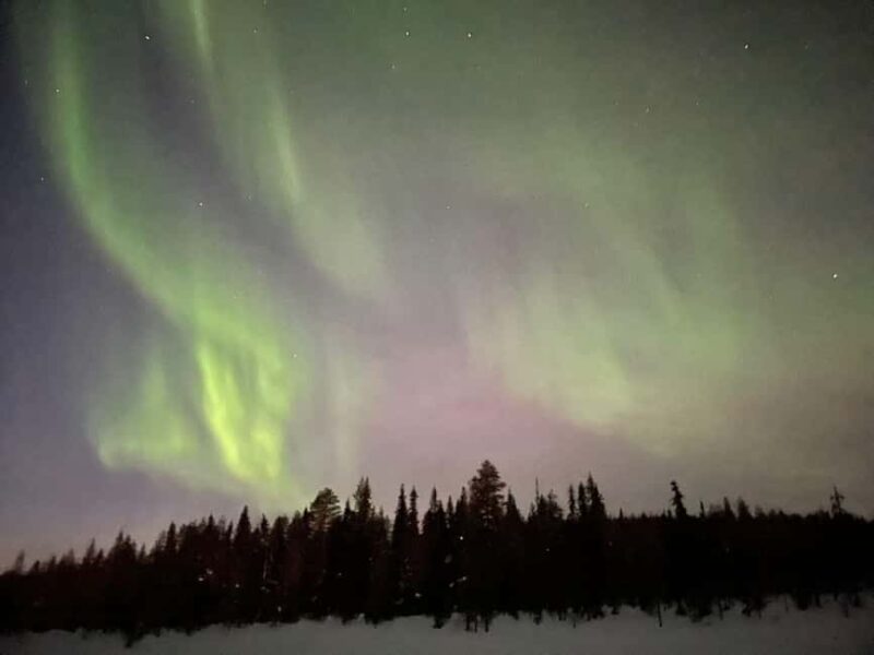 Ylläs: Northern Lights Snowmobile Safari with Transfers - Key Points