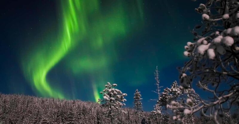 Ylläs: Seeking Northern Lights Photo Tour - What the Reviews Reveal About the Experience