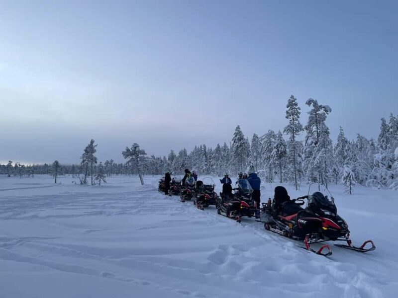 Ylläs: Snowmobile trip in a forest with a family company - Exciting Snowmobile Adventure in Ylläs Forest with a Family-Owned Company