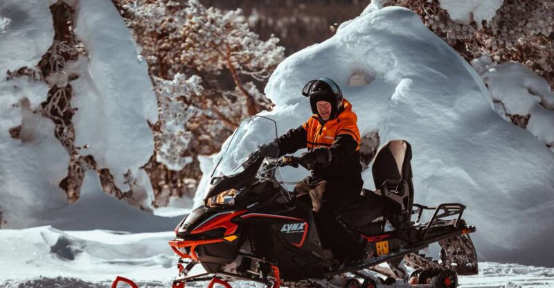 Ylläs: Snowmobiling ABC - Explore Lapland’s Arctic Wilderness on a 2-Hour Snowmobiling Safari