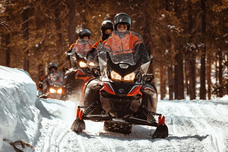 Ylläs: Wilderness Snowmobile Tour - Lunch and Warmth in the Forest