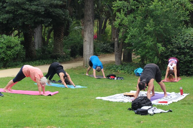 Yoga at María Luisa Park in Seville - Final Thoughts: Who Will Enjoy This Yoga Experience?