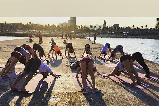 Yoga By The Sea Barcelona - Frequently Asked Questions