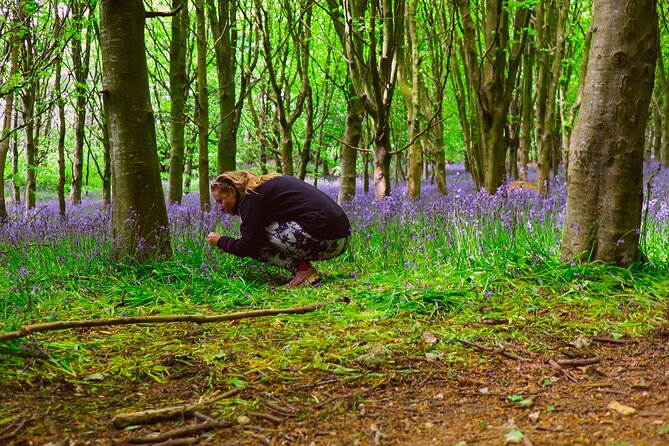 Yoga & Forest Bathing Day Retreat - Discovering South East England’s Natural Beauty at Stonerocks Farm