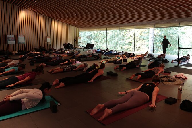 Yoga + Museum Gallery Experience in Whistler - Access to the Art Galleries: A Perfect Post-Yoga Wind-Down