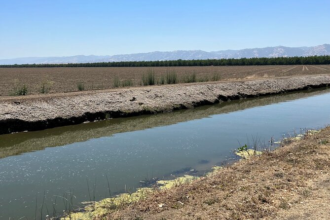 Yolo County Explorer: Culinary & Cultural Audio Tour - Enjoying the Local Flavors at Putah Creek Cafe