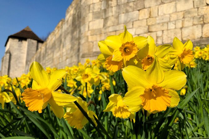 York 3-Hour Photography Walking Tour - Strolling Along City Walls and Historic Gates