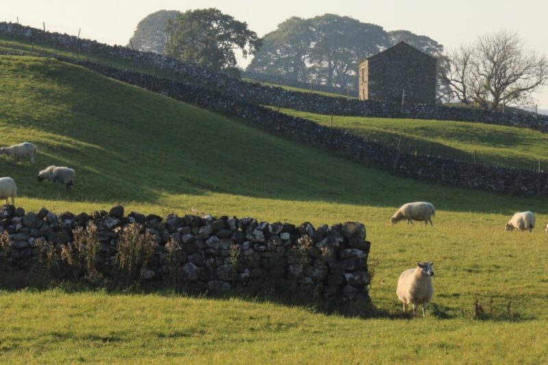 York: "All Creatures Great and Small" Yorkshire Dales Tour - Yorkshire’s Film and Heritage Scene: What Makes This Tour Special