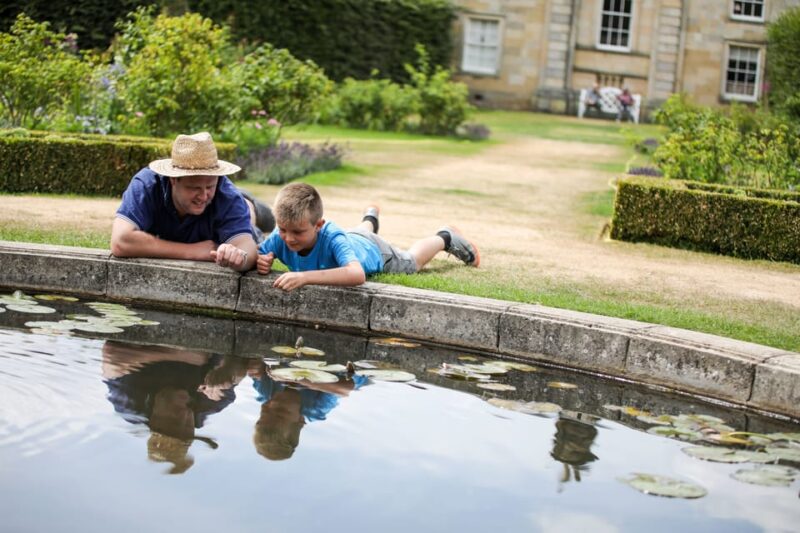 York: Castle Howard Gardens and Grounds Entry Ticket - Discover the Magnificent Gardens of Castle Howard