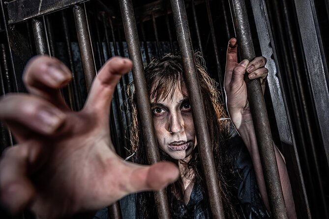 York Dungeon Entry Ticket - The Range of Engaging Shows and Interactive Features