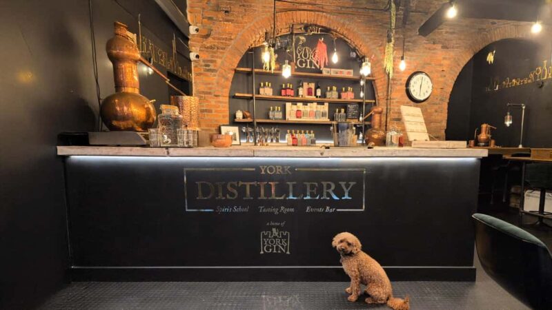 York: Gin Tasting Experience at York Distillery - Key Points
