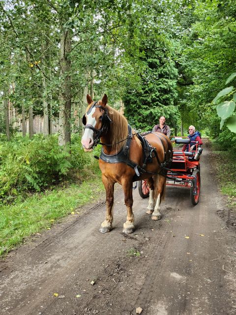 York: Horse Drawn Carriage Ride Around the Countryside York - Enjoy a Scenic Horse-Drawn Carriage Ride Near York for $114.49