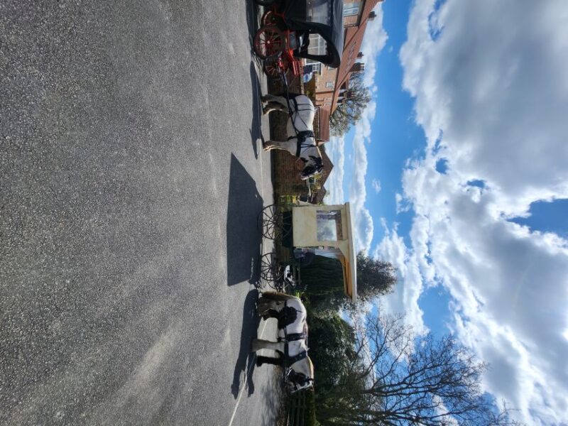 York: Horse Drawn Carriage ride & Cream Tea - Key Points