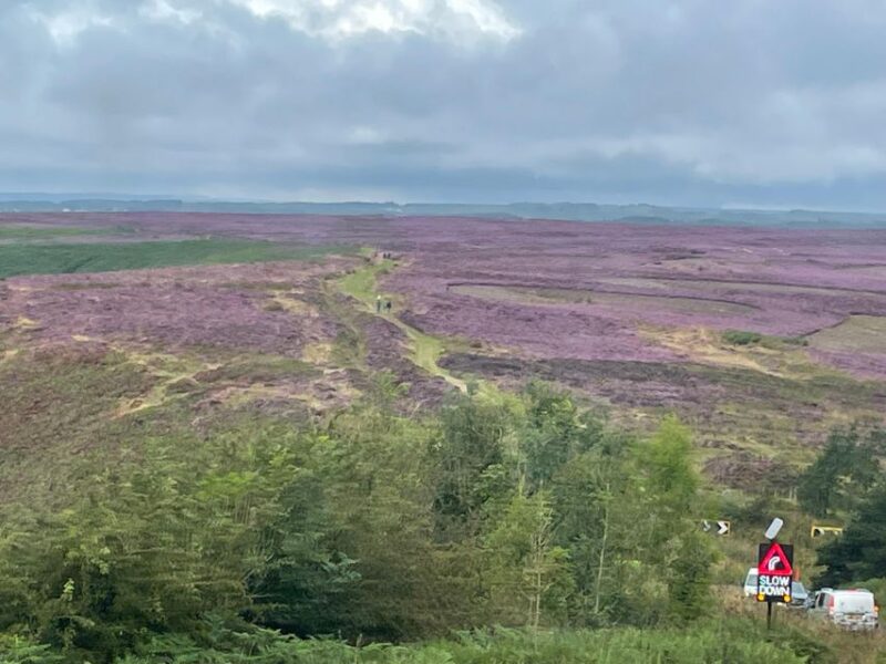 York: J&Ms City Sightseeing and History Tour - Discovering York’s Viking Roots at Jorvik Viking Centre