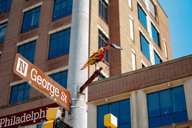 York Self Guided App Private Walking Tour - Outside-Only Experience with No Inside Access