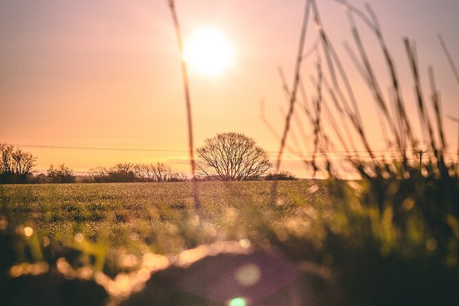 York Tour App, Hidden Gems Game and Big Britain Quiz (1 Day Pass) UK - Family-Friendly and Suitable for All Group Sizes