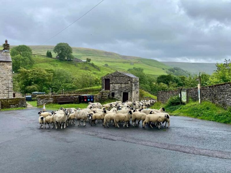 Yorkshire Dales: Guided Walk with Local Guide - Key Points