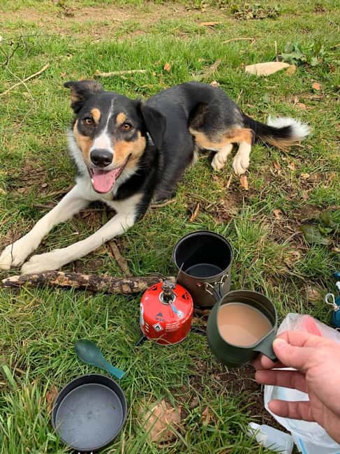 Yorkshire Dales: Guided Walk with Local Guide - Discovering Geology and Natural Wonders