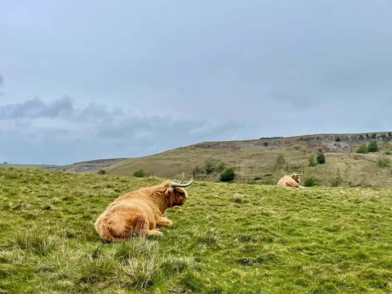 Yorkshire Dales: Guided Walk with Local Guide - Comparing This Tour to Similar Experiences