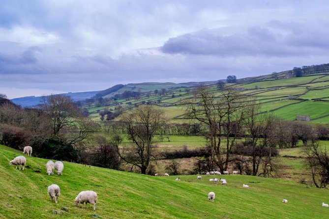 Yorkshire Dales Tour from York - Expertise of Guides and Visitor Feedback
