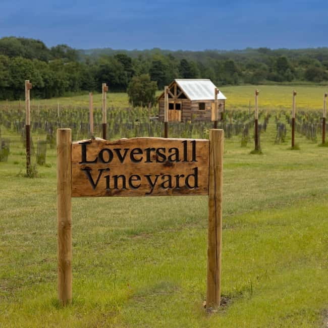 Yorkshire: Loversall Vineyard Wine Tasting and Tour - Wine Tasting and Cheese Pairing