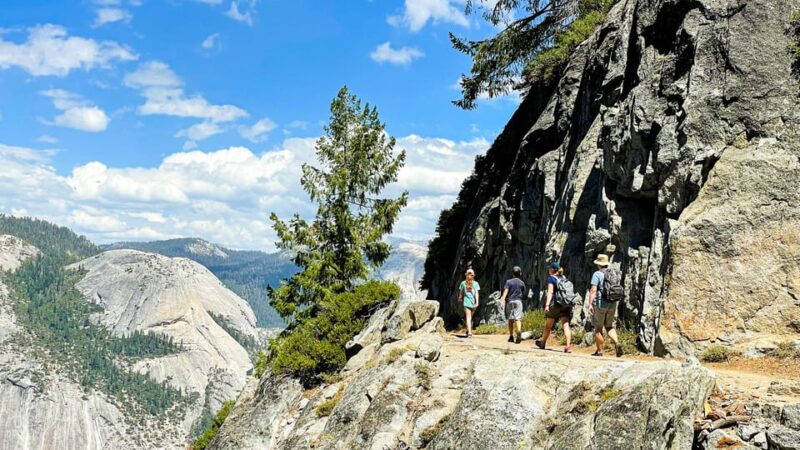 Yosemite Family Explorers: Customizable Private Tour - The Role of the Expert Local Guide in Enhancing Your Visit