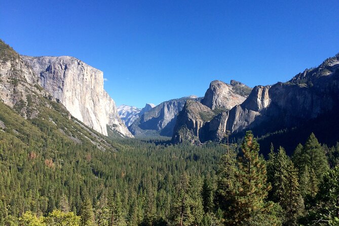 Yosemite Full Day Private Tour and Hike - An Outdoor Gourmet Picnic Lunch