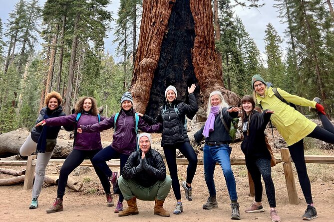 Yosemite Full Day Private Tour - Key Points