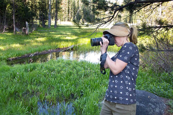 Yosemite Full Day Private Tour - Explore the Parks Scenic Highlights: Glacier Point and Beyond