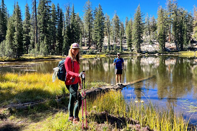 Yosemite Full Day Private Tour - No Food Included, but Flexibility is Key