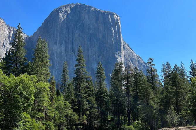 Yosemite Full Day Private Tour - Booking, Availability, and Cancellation Policy