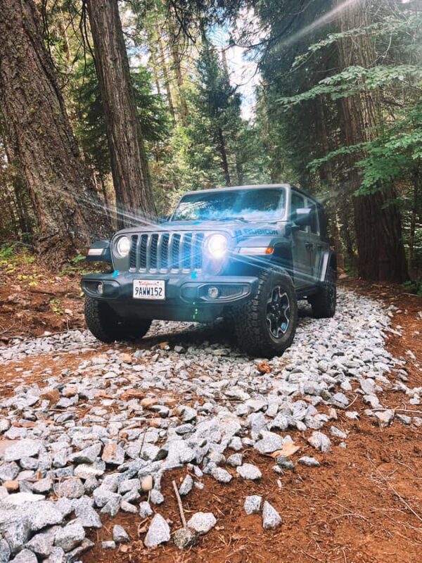 Yosemite: Giant Sequoia Private 4X4 Jeep Tour - Key Points