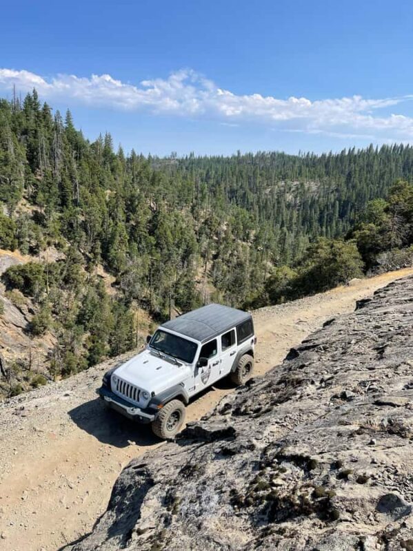 Yosemite: Giant Sequoia Private 4X4 Jeep Tour - The Guide’s Role and Tour Atmosphere