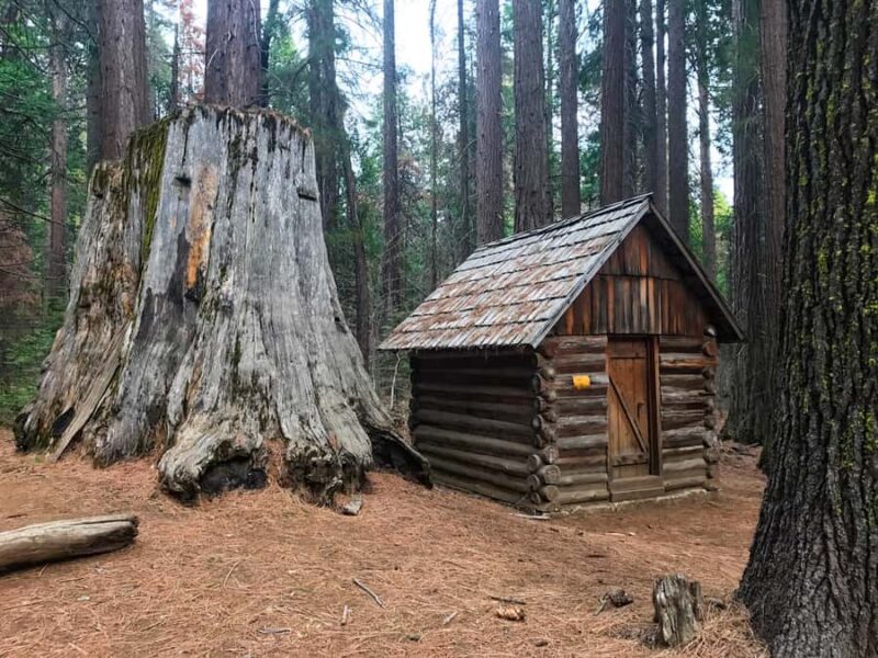 Yosemite: Giant Sequoia Private 4X4 Jeep Tour - The Sum Up: A Unique Yosemite Adventure for Nature Enthusiasts