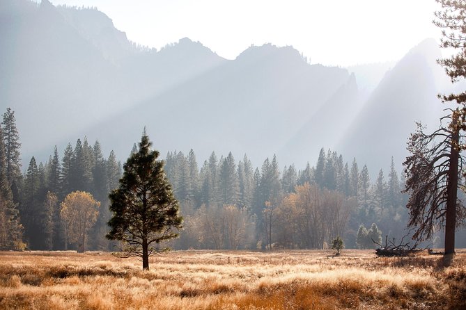 Yosemite Highlights & Giant Sequoias Day Tour from San Francisco - Departure from San Francisco and Scenic Drive