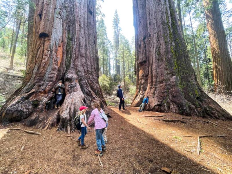 Yosemite Magic: Highlights, Sunset, and S'mores - Witness a Breathtaking Sunset Over Yosemite Valley