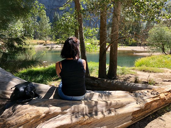 Yosemite National Park - One Way Trip - Punctuality and Experience Quality