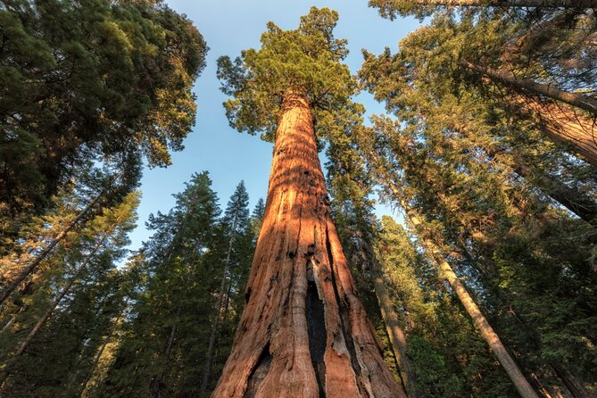 Yosemite National Park Self Guided Driving Audio Tour Guide - Final Thoughts on the Yosemite Self-Guided Audio Tour