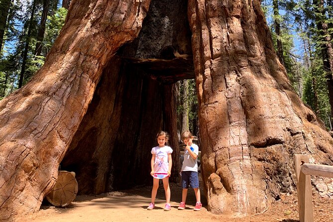 Yosemite Private Tour from San Francisco - Key Points