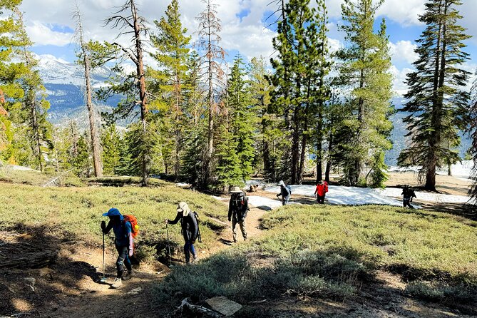 Yosemite Team Building Adventure Hike - The Role of the Local Guide in Your Experience