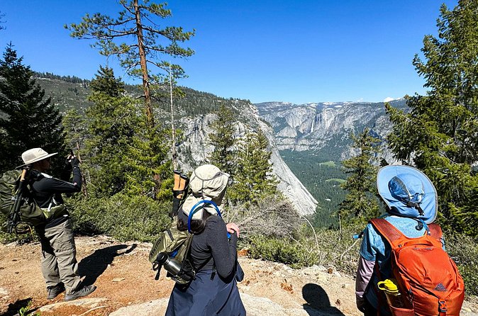 Yosemite Team Building Adventure Hike - Booking and Cancellation Policies
