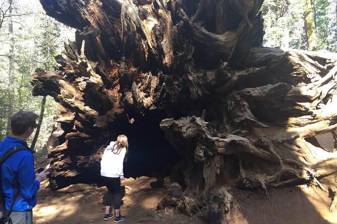 Yosemite Valley Discovery Walk - Cost-Effectiveness and Value