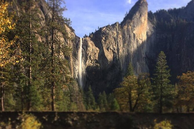 Yosemite Valley & Glacier Point Adaptive Tour - Accessibility and Physical Requirements