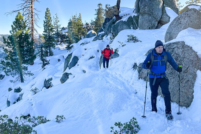 Yosemite Winter Wonderland Guided Hiking or Snowshoeing - Snowshoeing or Hiking: Choosing Your Winter Adventure