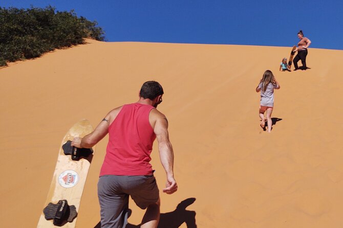 YOU DRIVE!! 5 Hr UTV Tour Pictograph Panel, Sand Boarding & More - Who Will Appreciate This Adventure?