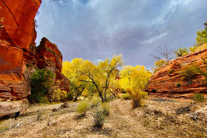 YOU DRIVE!! East Zion's Hidden Treasures - 4 Hr UTV Tour - Explore East Zion’s Cliffs with Your Own UTV for Four Hours