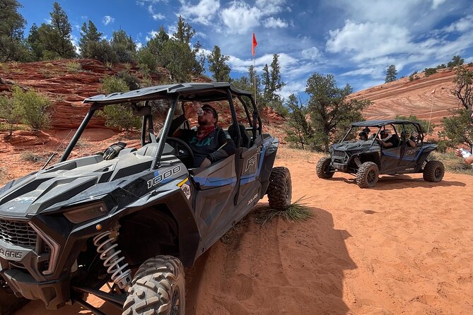 YOU DRIVE!! East Zion's Hidden Treasures - 4 Hr UTV Tour - Key Points