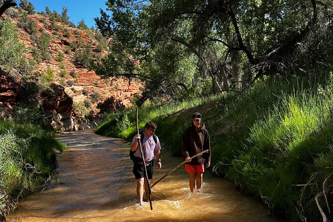 YOU DRIVE!! East Zion's Hidden Treasures - 4 Hr UTV Tour - The Route Through East Zion’s Cliffs