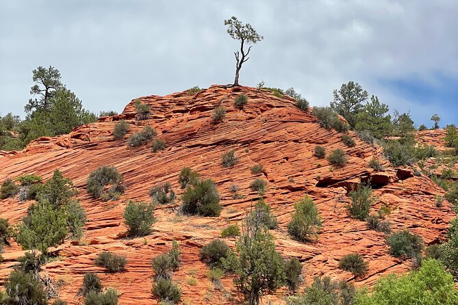 YOU DRIVE!! East Zion's Hidden Treasures - 4 Hr UTV Tour - What’s Included and What to Bring